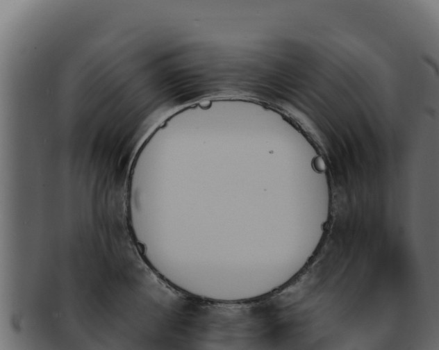 X0000092290860200710041428