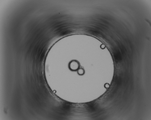 X0000092290862200710041428