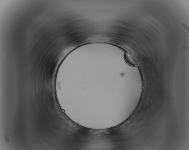 X0000092290864200710041428