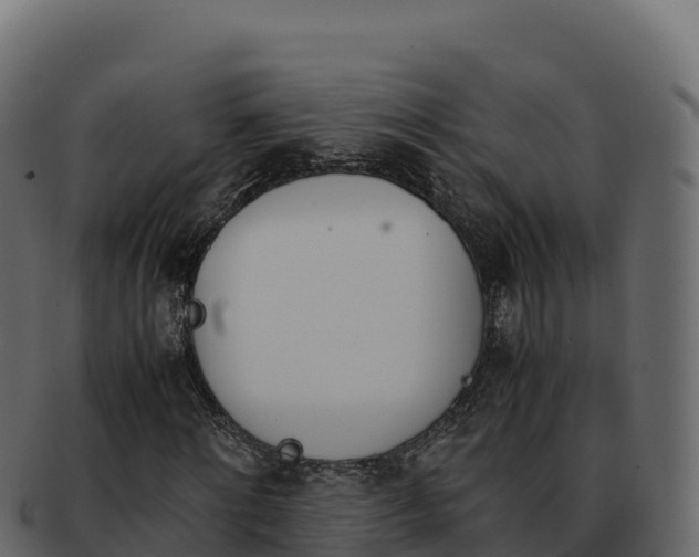 X0000092290868200710041427