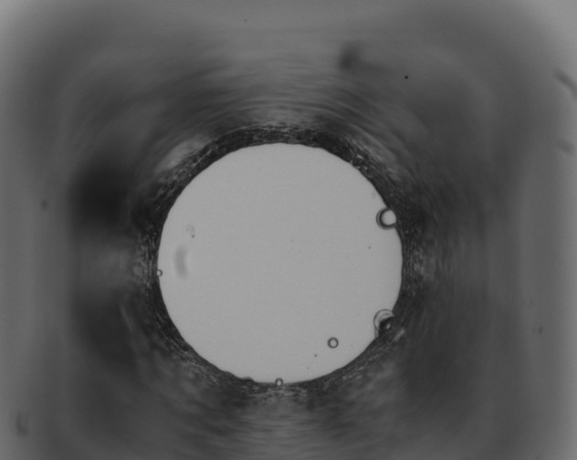 X0000092290869200710041427