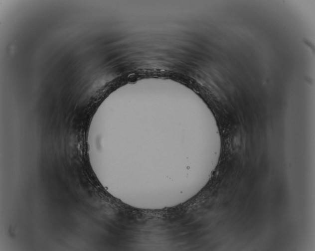 X0000092290870200710041427