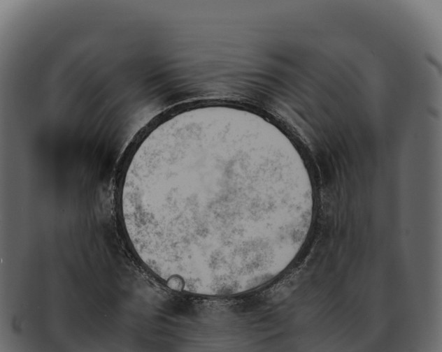 X0000092290875200710041427