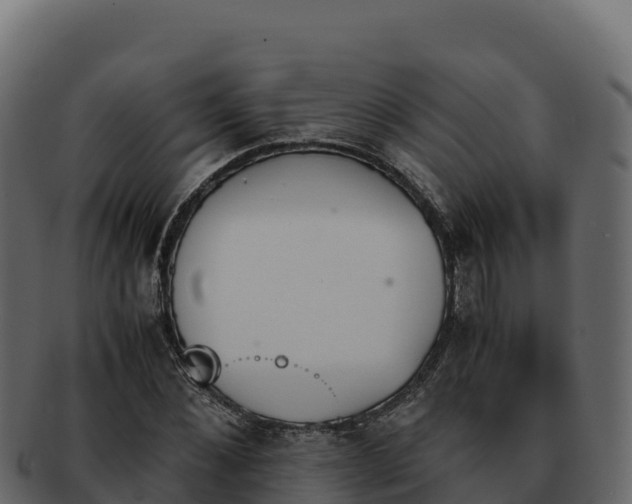 X0000092290876200710041427