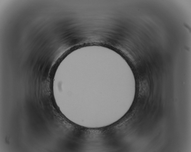 X0000092290878200710041427