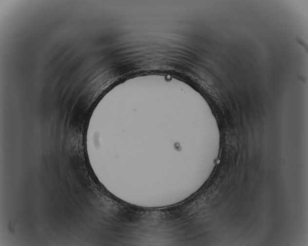 X0000092290881200710041427