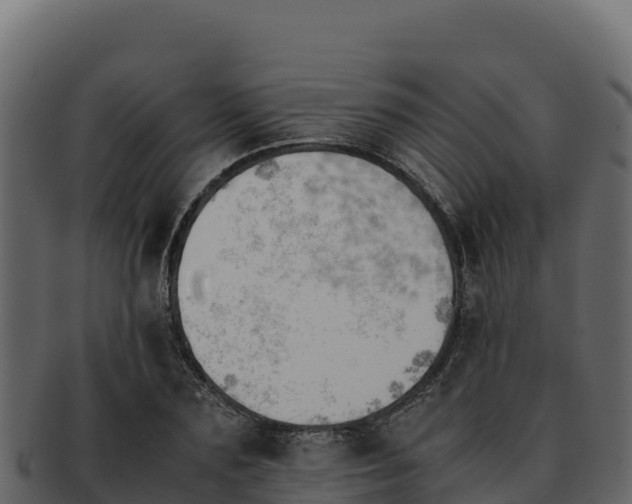 X0000092290883200710041427