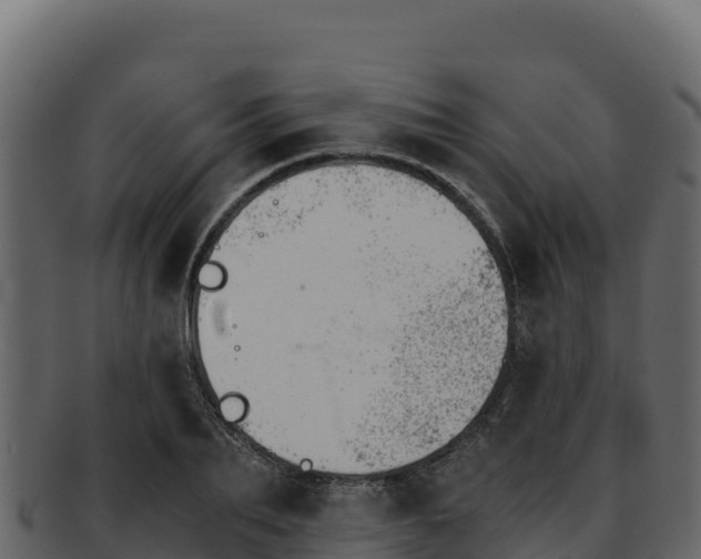 X0000092290887200710041427