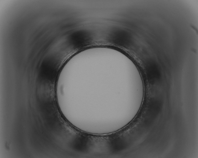 X0000092290889200710041427