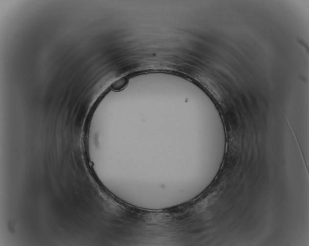 X0000092290893200710041427