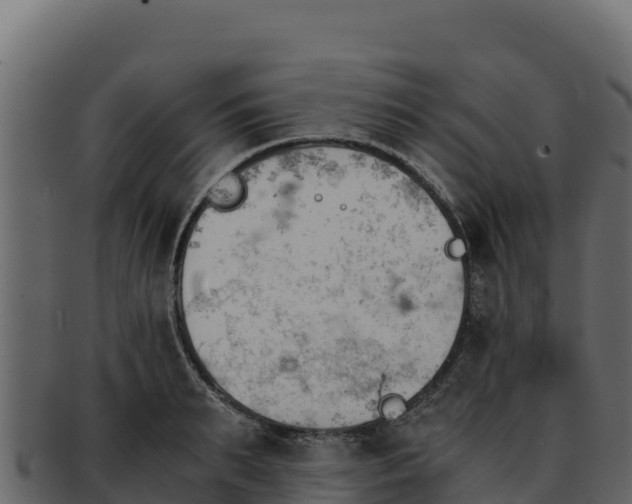 X0000092290895200710041427