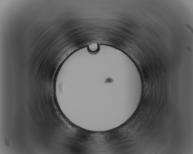 X0000092290898200710041427