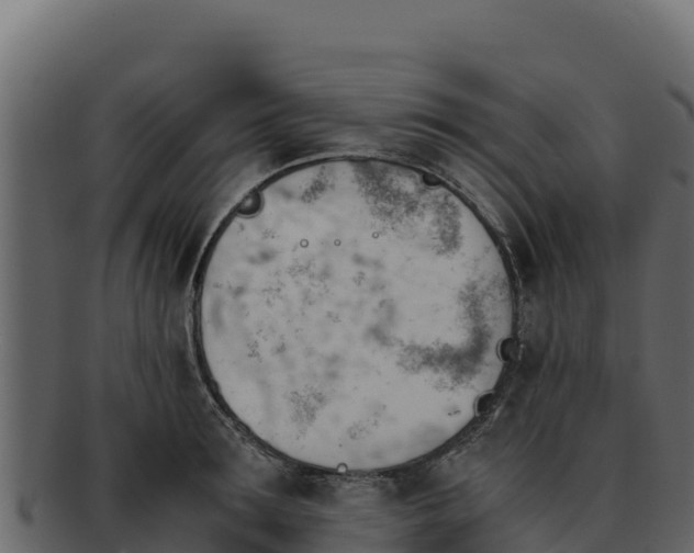 X0000092290899200710041427