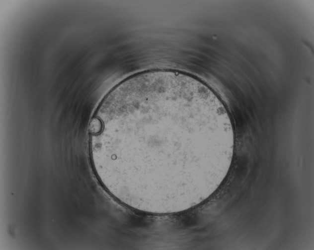 X0000092290903200710041427