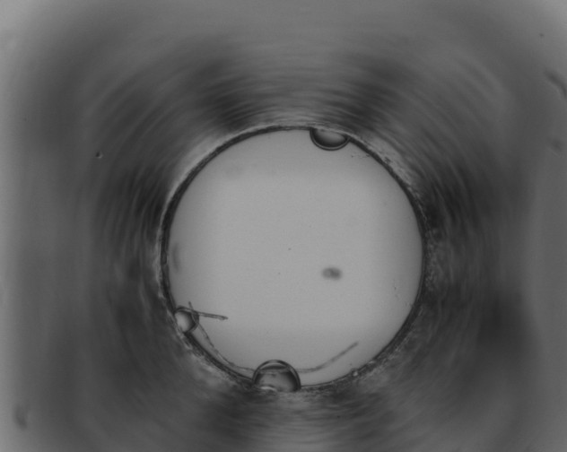 X0000092290904200710041427