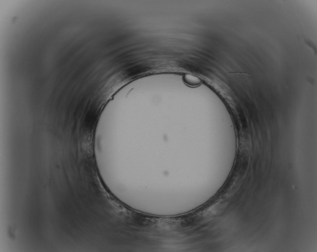 X0000092290905200710041427