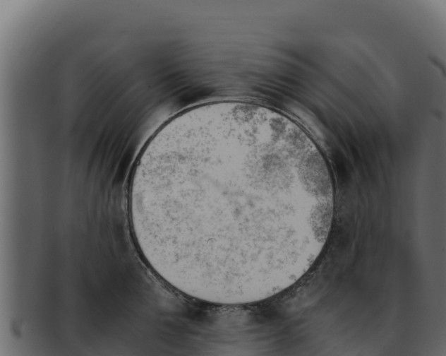 X0000092290907200710041427