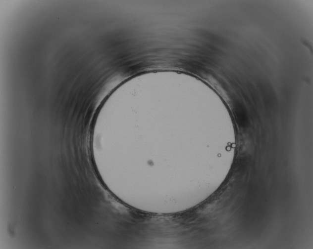 X0000092290909200710041427