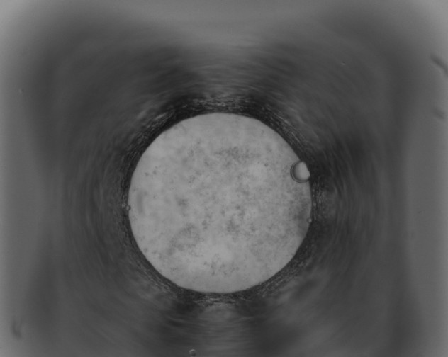 X0000092290913200710041426