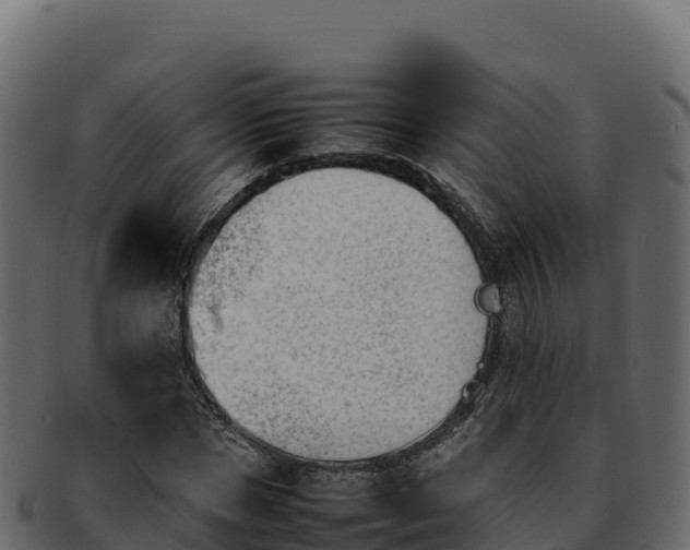 X0000092290921200710041426