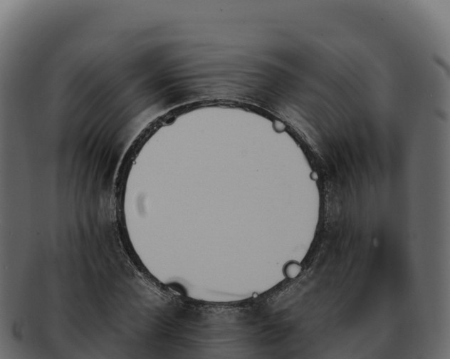 X0000092290924200710041426