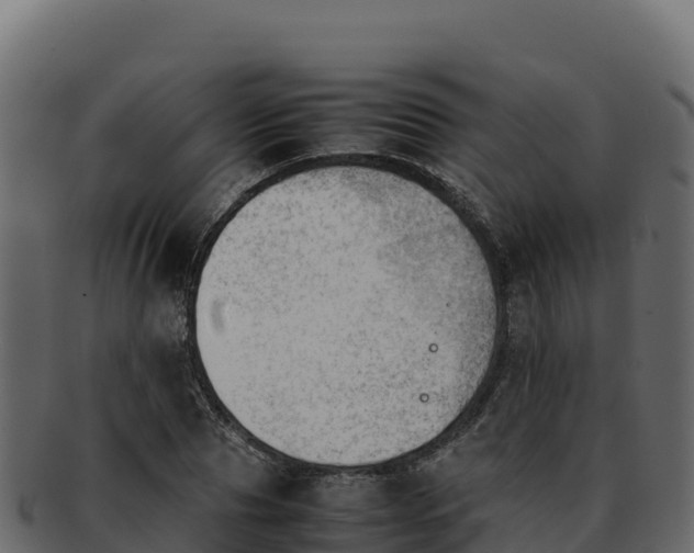 X0000092290929200710041426