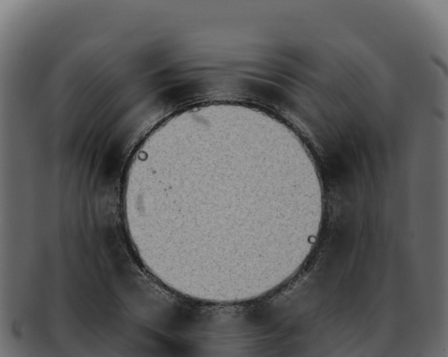 X0000092290930200710041426