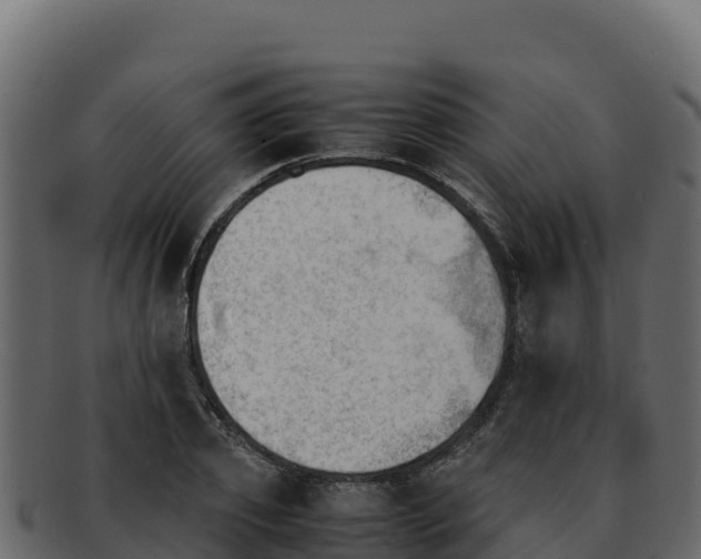 X0000092290933200710041426