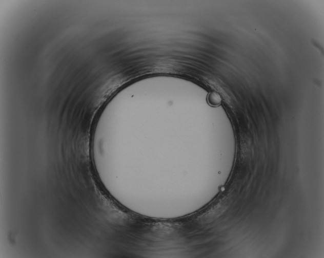 X0000092290938200710041426