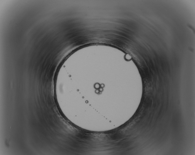 X0000092290940200710041426