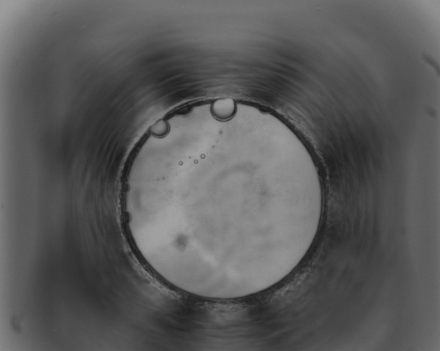 X0000092290941200710041426