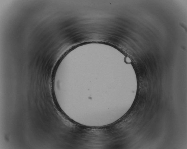 X0000092290942200710041426