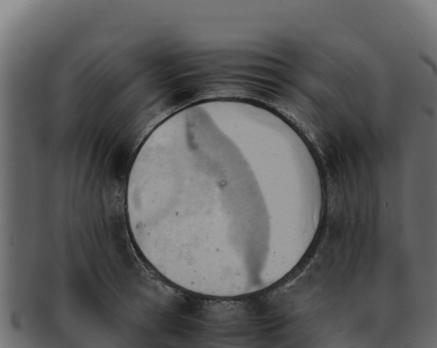 X0000092290945200710041426