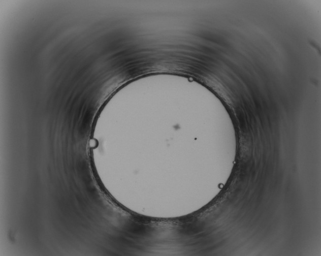 X0000092290946200710041426