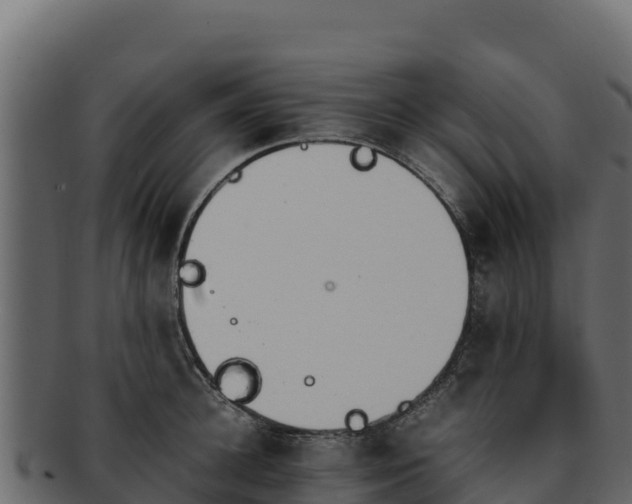 X0000092290948200710041426