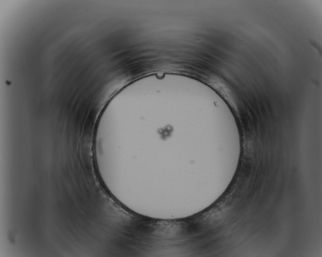 X0000092290954200710041426