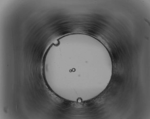 X0000092290955200710041426