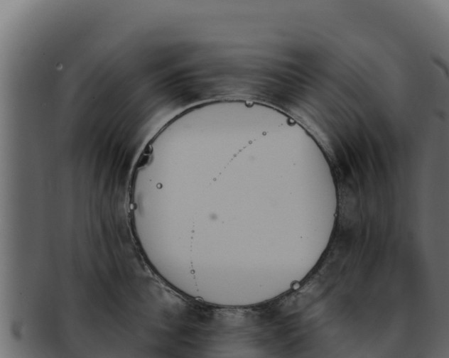 X0000092290956200710041426