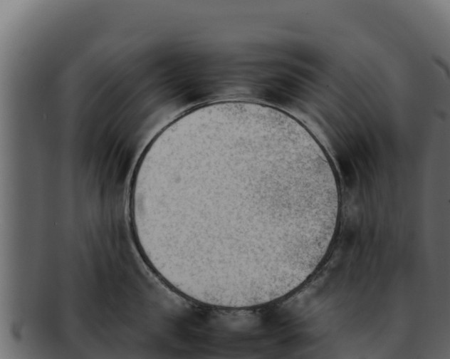 X0000092290957200710041426