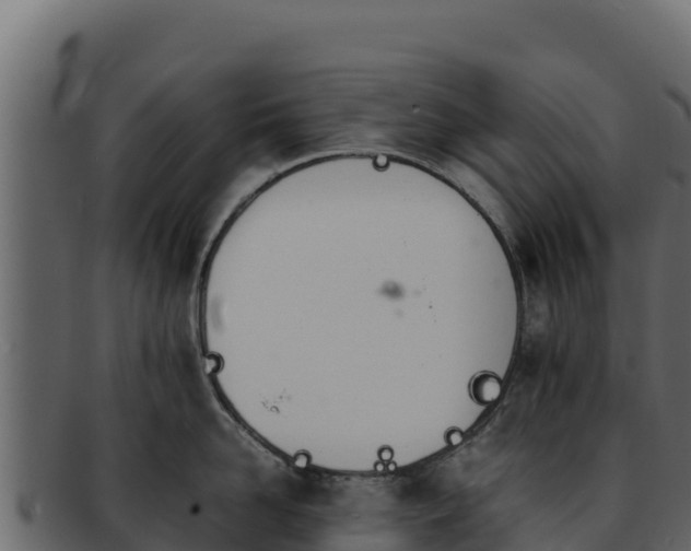 X0000092290958200710041426