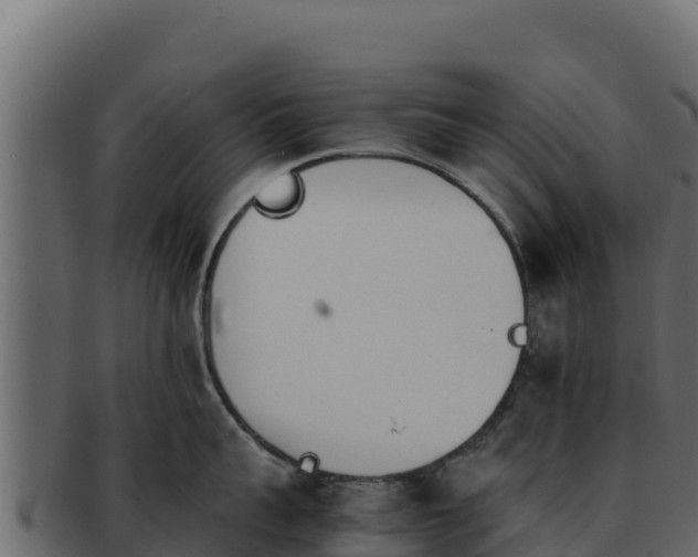 X0000092290959200710041426