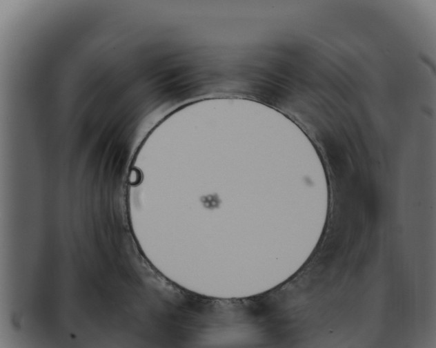 X0000092290960200710041426