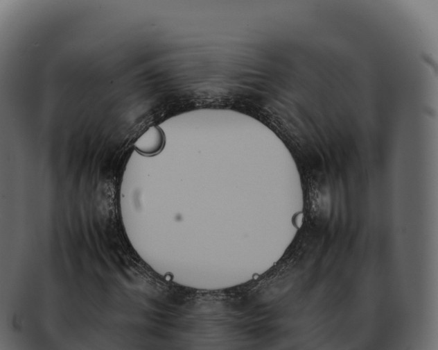 X0000092290964200710041426