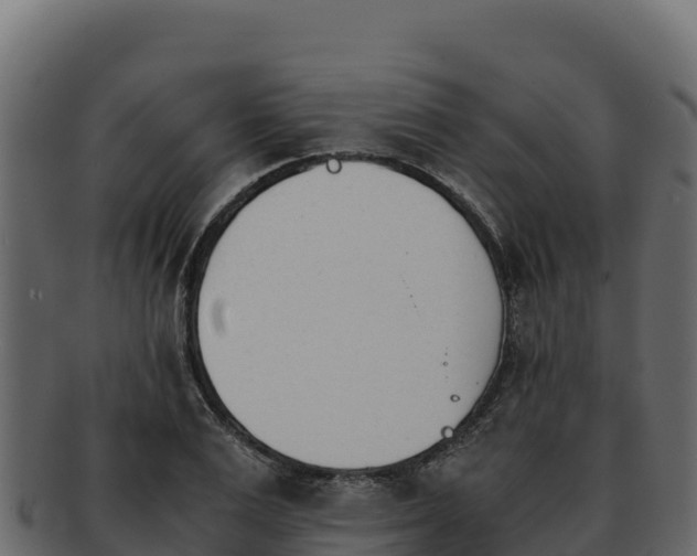 X0000092290983200710041426