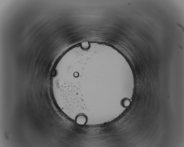 X0000092290989200710041426