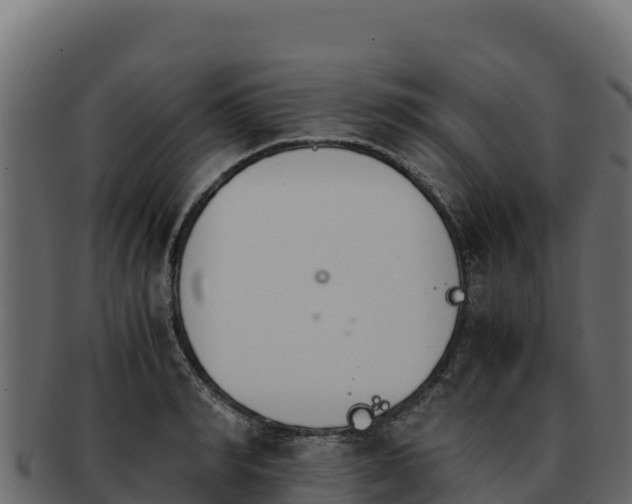 X0000092290990200710041426