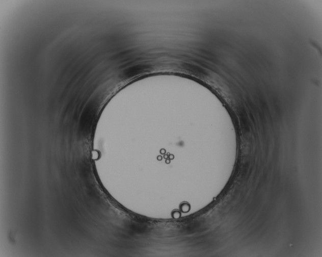 X0000092290993200710041426