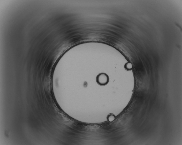 X0000092290994200710041426