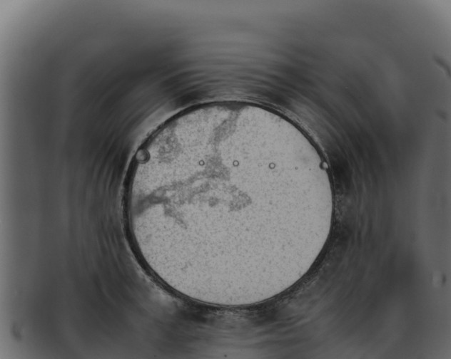 X0000092290995200710041426