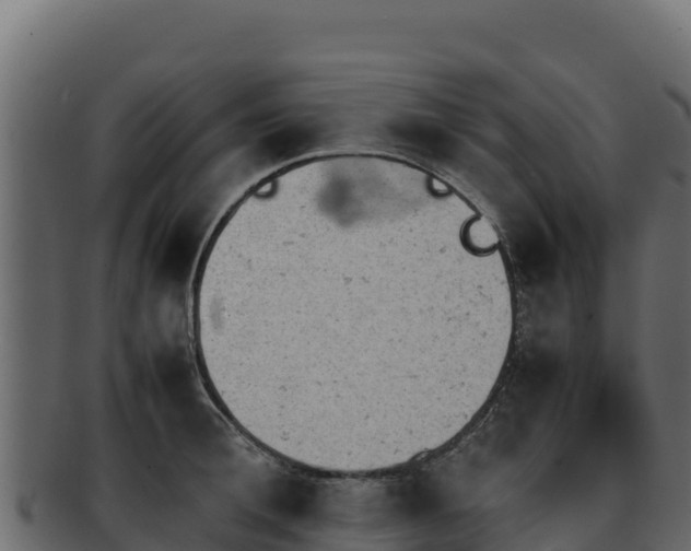 X0000092290996200710041426